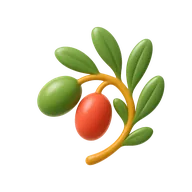 Olive Leaf Extract, 20% Oleuropein — Incasol botanical active